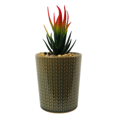 Annistin Arrangement in Planter
