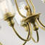 Eide 5 - Light Shaded Chandelier-1563849919