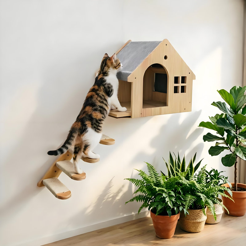 Cat Wall Climbing Stairs with House