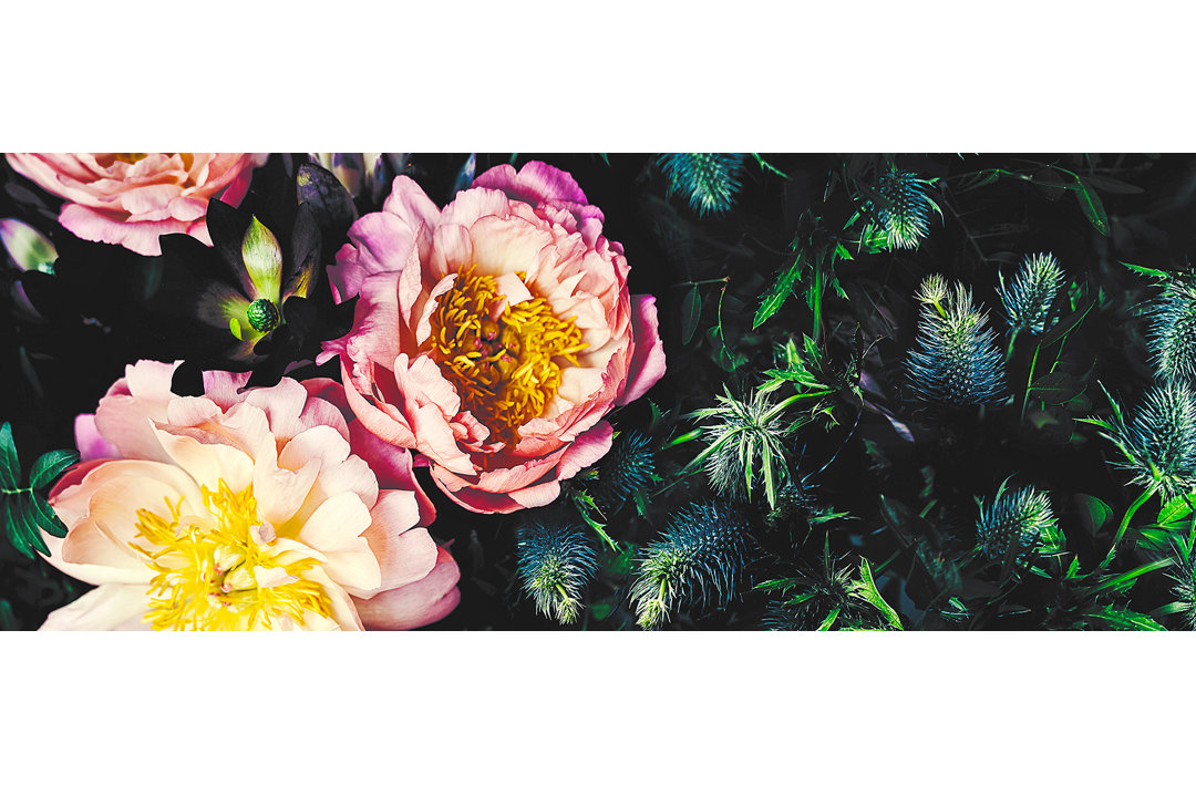 Baroque Peonies II – Druck auf Floatglas