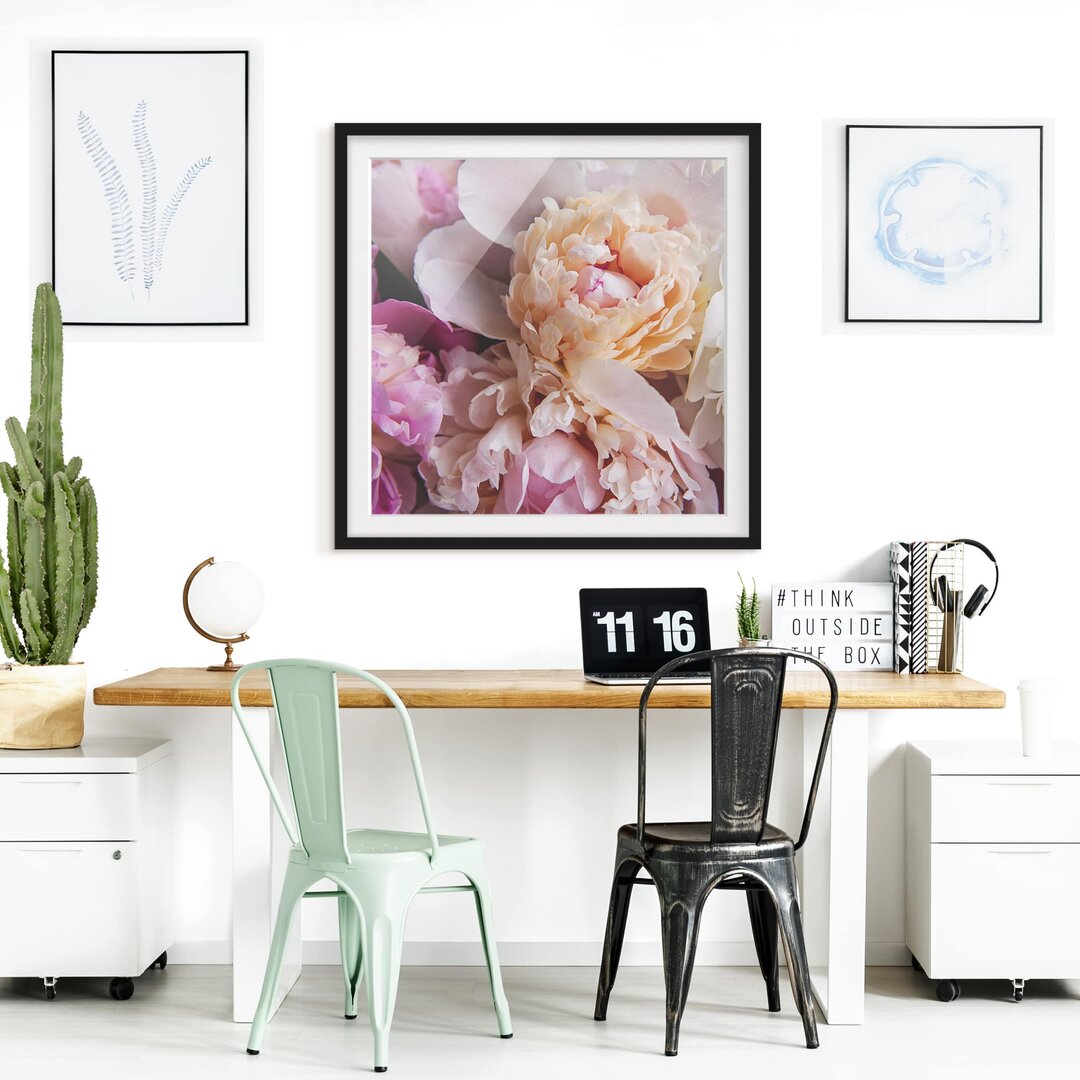 Gerahmtes Poster Flowering Peonies