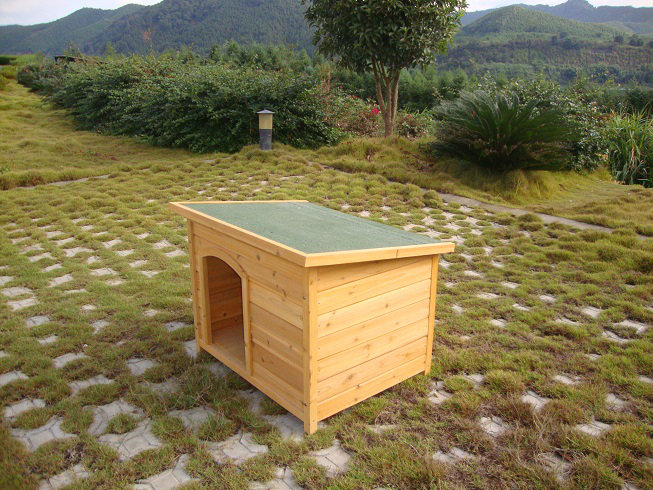 Niche pour chien k-9 kamp