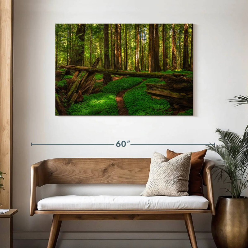 Forêt de séquoias à Harnek, H 30 po x l 45 po