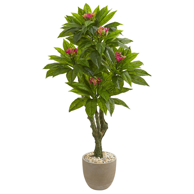 5ft. Plumeria Artificial Tree in Decorative Planter UV Resistant (Indoor/Outdoor)
