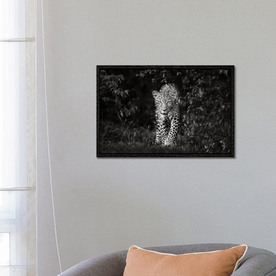 Leopard, Eye To Eye 1 Piece Wall Art on Canvas