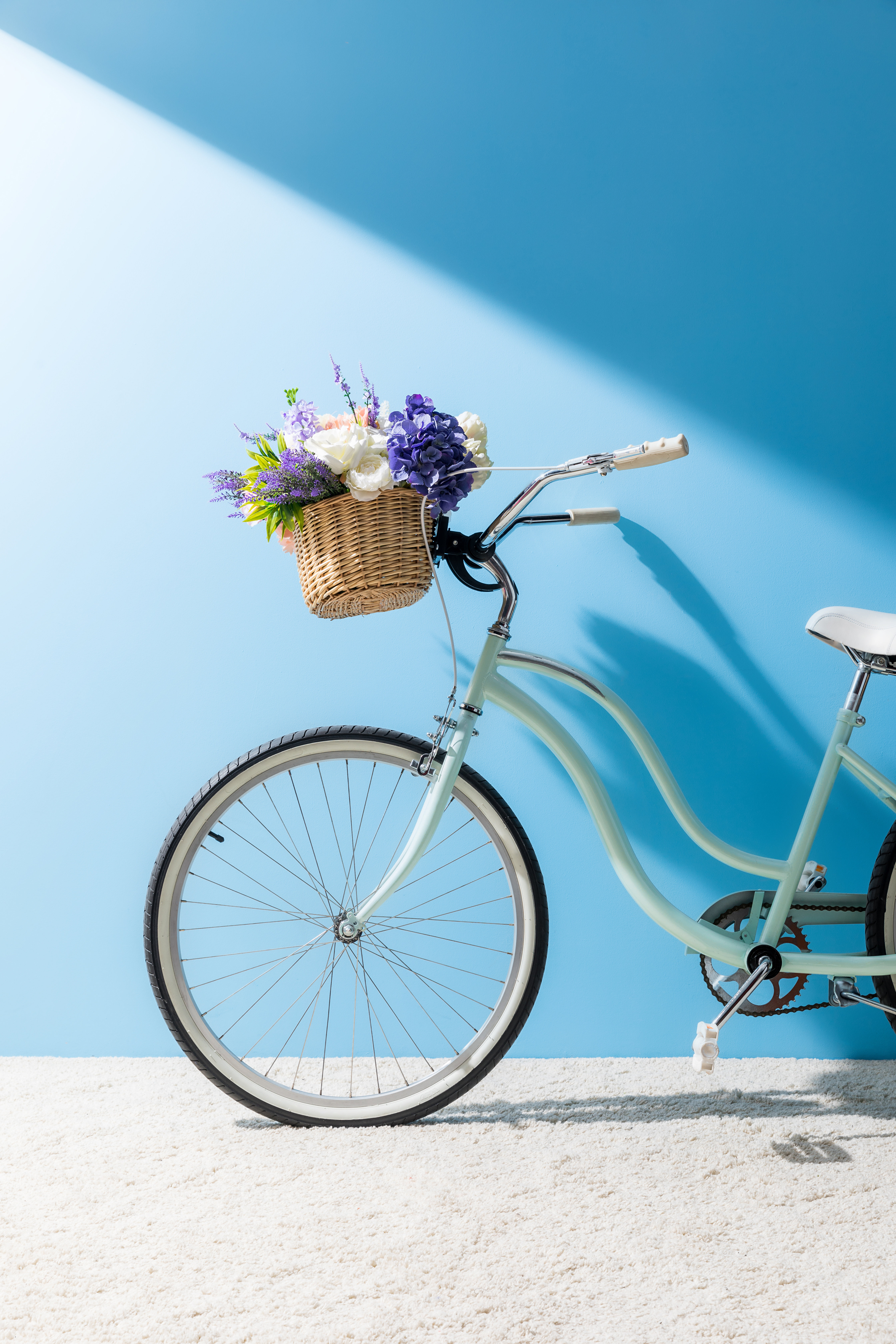 Wayfair bicycles new arrivals