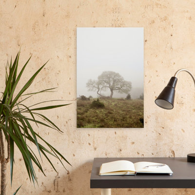 Oak Tree #26 - Photography Art