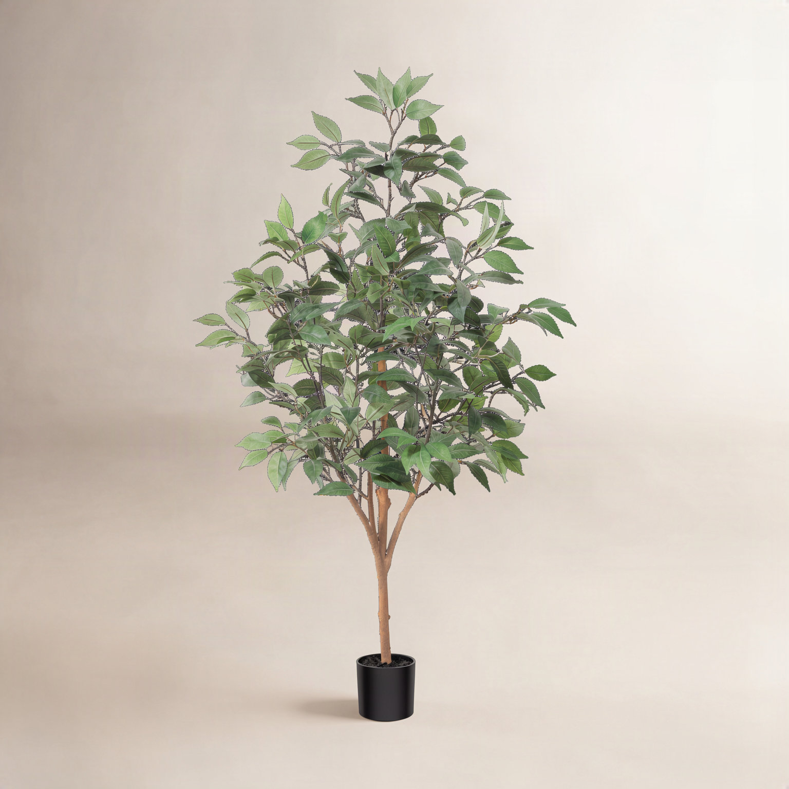 Adcock Ficus Tree in Pot, 47" H x 12" W x 12" D