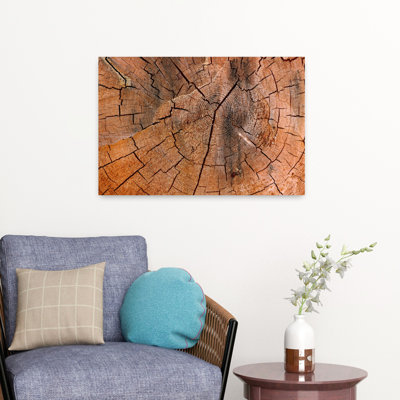 Tree Stump Detail Abstract Contemporary Nature Tree Art