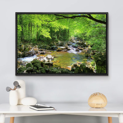 Rivière à travers la forêt verte sur toile