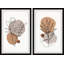 Growing On Boulders Diptych-746608765