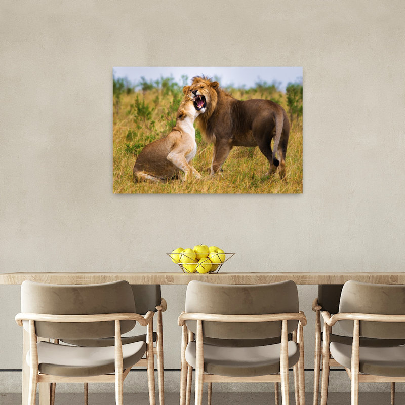 Roaring Lion Pair Playful Contemporary Cat Lion Nature Wildlife Wall Art Print, 60.96cm H x 91.44cm W
