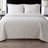 Caroline Embossed Floral Quilt Set-904663226-904663220