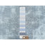 Tapis gris noué à la main de conception unique 8 pi 10 po x 11 pi 11 po années 1960 Vasif