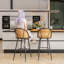 Mondale Upholstered Counter Stool