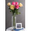 Tige de rose-828026672