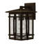Tucker Outdoor Wall Lantern-1754896272