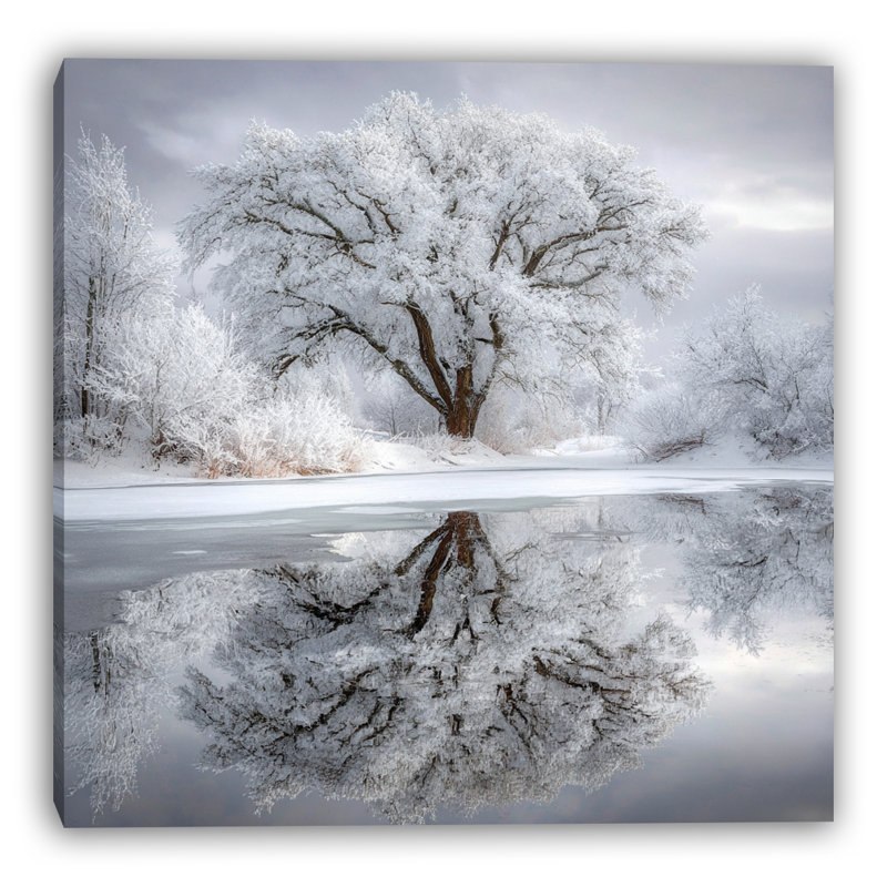 Art mural sur toile Frosted Serenity, H 40 po x l 40 po