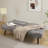 Isaul 68'' Upholstered Biscuit Back Convertible Sofa-158671442