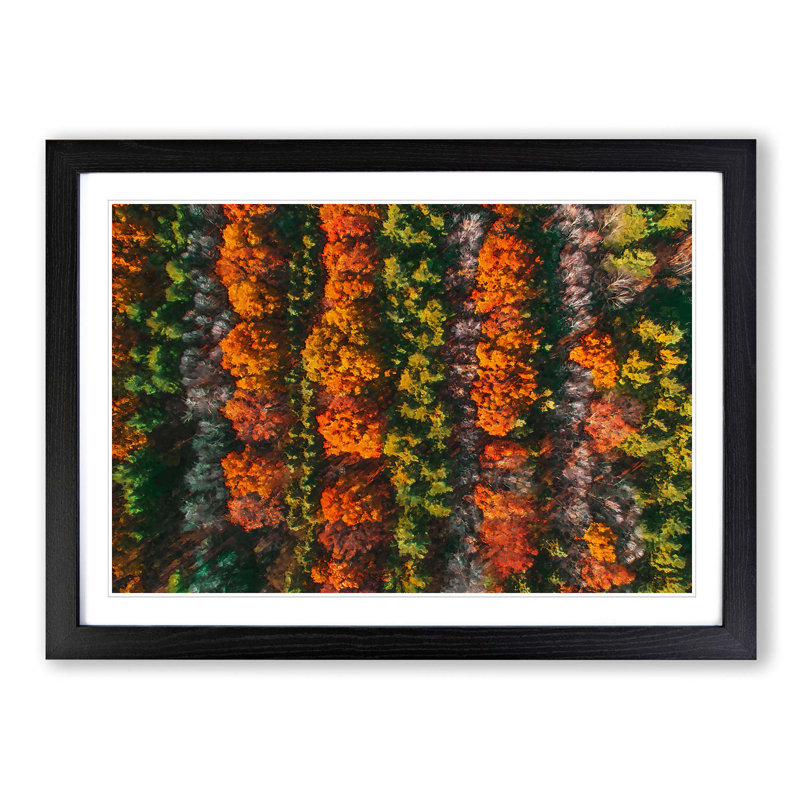 Autumn Forest Stripes - Picture Frame Graphic Art Print, 27cm H x 36cm W x 2cm D, Black Framed