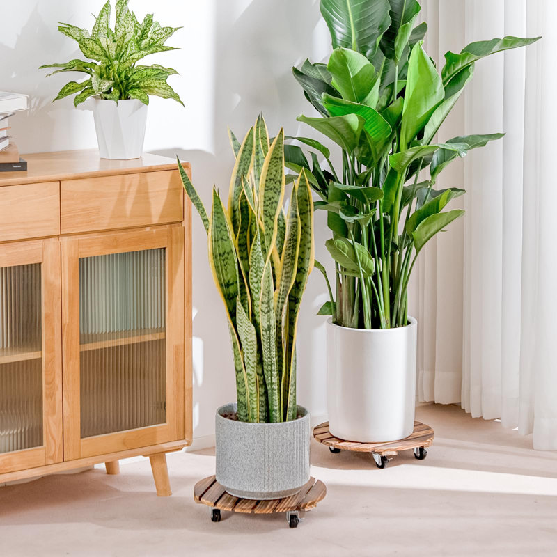 Panier à plantes en bois 12 pouces avec roues - Chariot à plantes robuste, roues verrouillables à 360 °, paquet de 2
