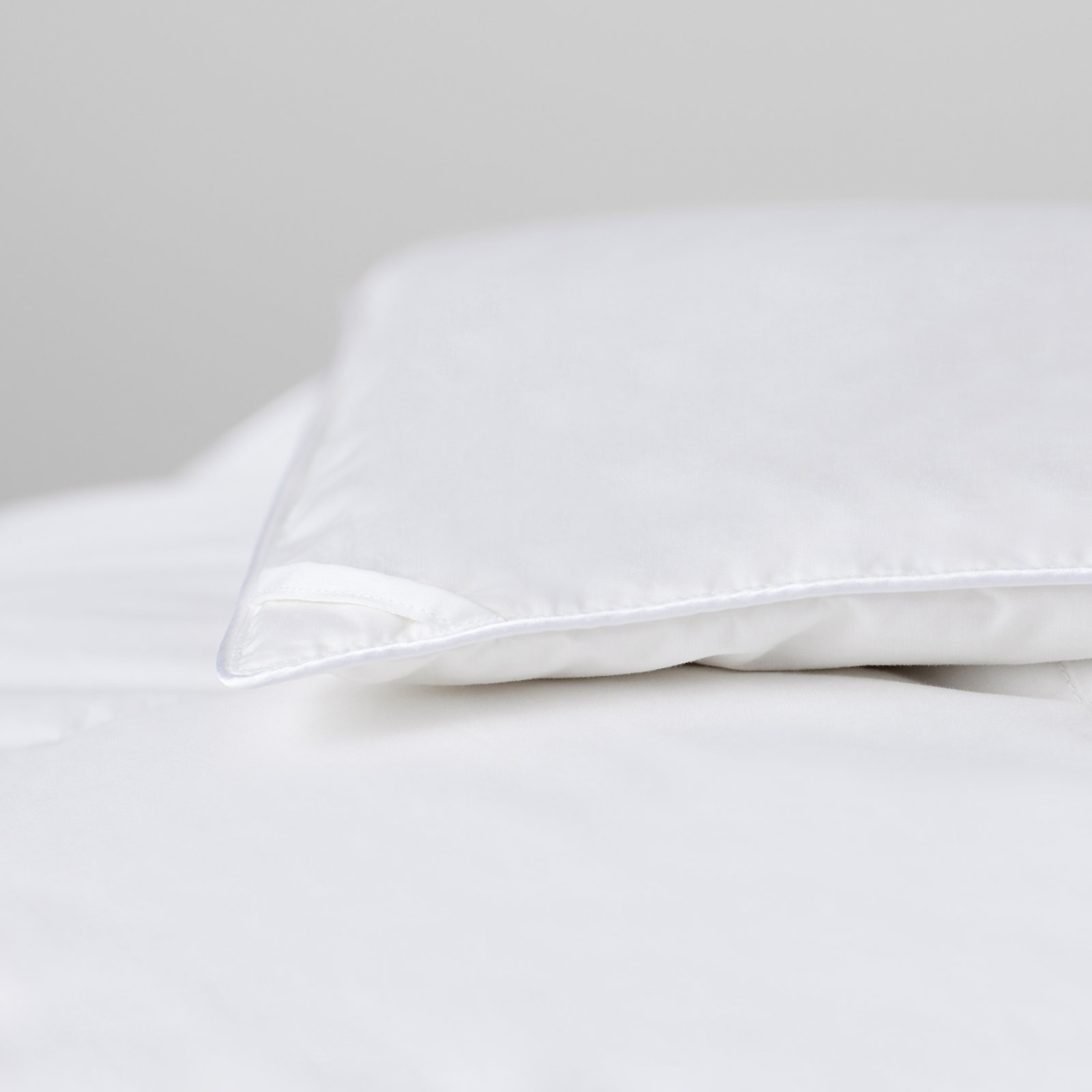 Terron Extra Plush Down Duvet Insert, Twin / Twin XL Down Comforter