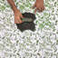 Green Chintz Napkins