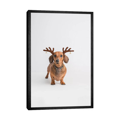 Frankie 1 Piece Wall Art on Canvas