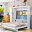 Murphy Bed with Built-In Storage and LED Lights-857878190-857878191