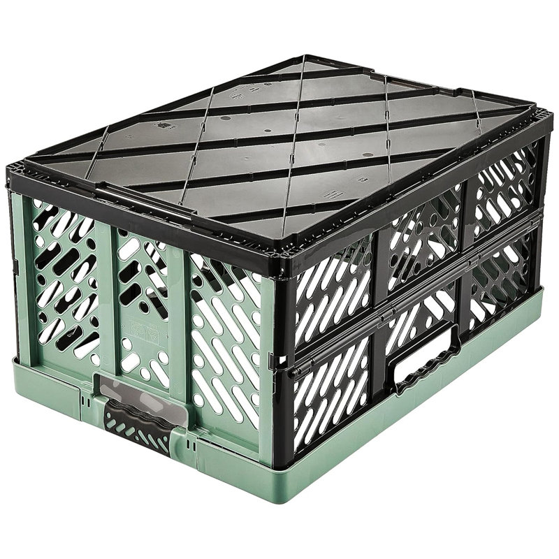 Keeeper Ben Plastic Box, Green