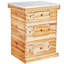 Trousse de démarrage Bee Hive Bee Hive à 40 cadres, bois de sapin enduit de cire d'abeille, 2 boîtes à abeilles profondes et 2 boîtes à abeilles Langstroth, fenêtres en acrylique transparent avec Foundations pour les débutants Pro Beekeepers