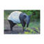 No Frame Print on Canvas-1664489791