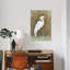 «White Egret II» par Timothy O 'Toole, reproduction sur toile tendue-32862960-72232835-72232836