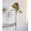 Tournesol Sten = m-1875365323-1875365320