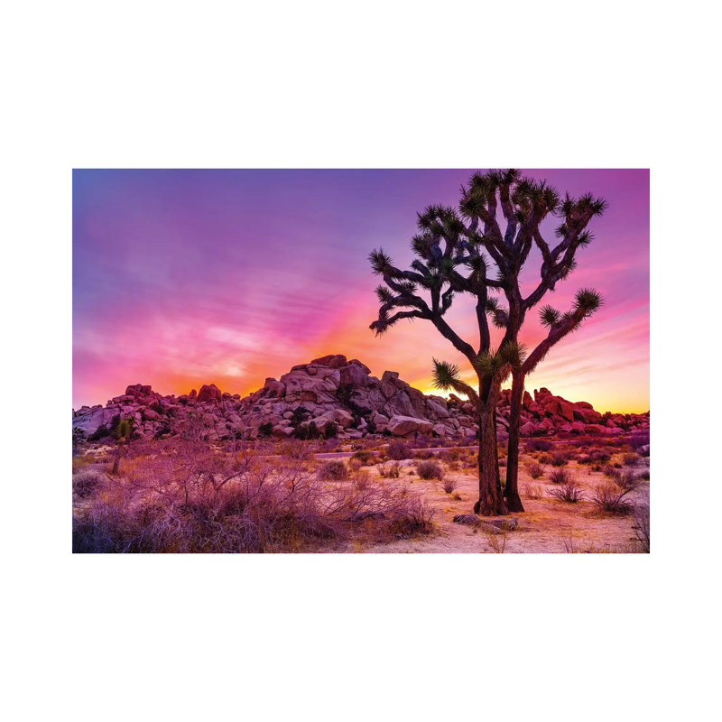 Joshua Tree National Park IX 1 Piece Wall Art on Canvas, 66.04 cm H x 45.72 cm W x 1.91 cm D, Canvas