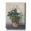 «Aarez Pot Of White Geraniums on Canvas» par Carol Rowan, reproduction-902600591