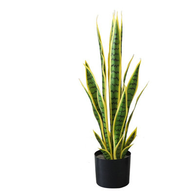 Plant