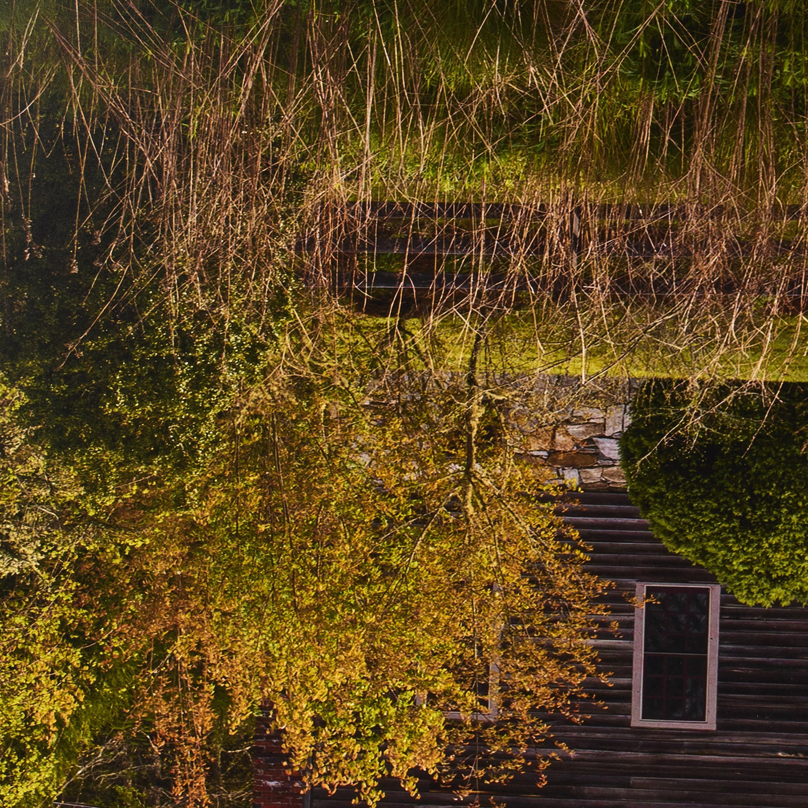 "Frame Of Reference" by Shade Degges, 60" H x 48.5" W