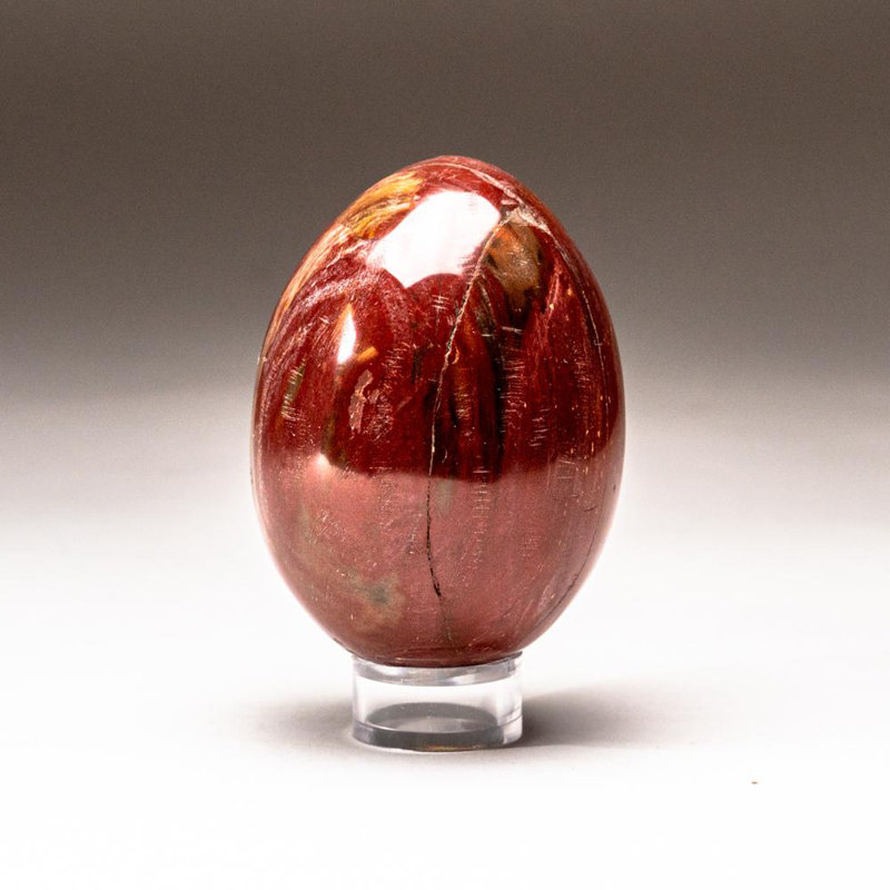 Petrified Wood Egg, Orange/Yellow/Brown, 3" H x 2" W x 2" D