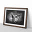 Two Butterflies - Picture Frame Graphic Art Print-56876258-56876256