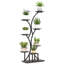 Plant Stand - Set of 8