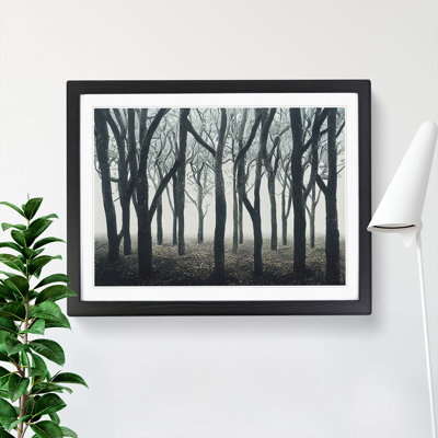 Striking Forest - Framed Print