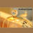 Compartment Makeup Organiser