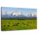 Alvord Wyoming