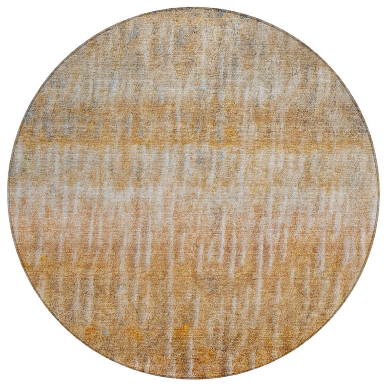 Machine Washable Indoor/Outdoor Matteson ACN2317 Casual Rug
