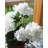 White Artificial Geranium Bush 15"-136068614