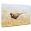 A Pheasant Bird - Wrapped Canvas Painting-56658666