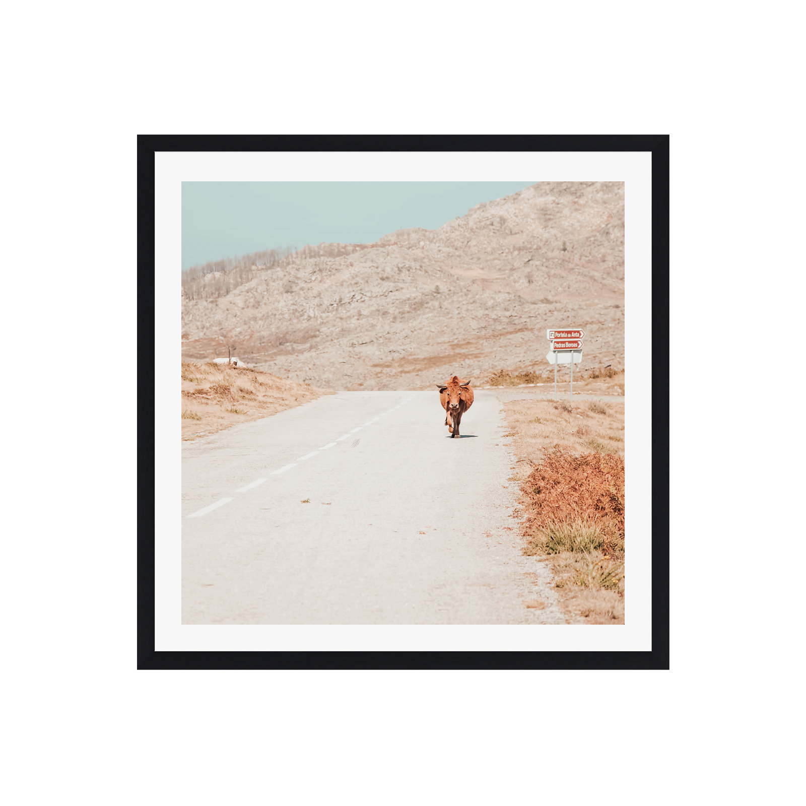 Black Single Picture Framed, Yes, 20" H x 20" W x 0.75" D