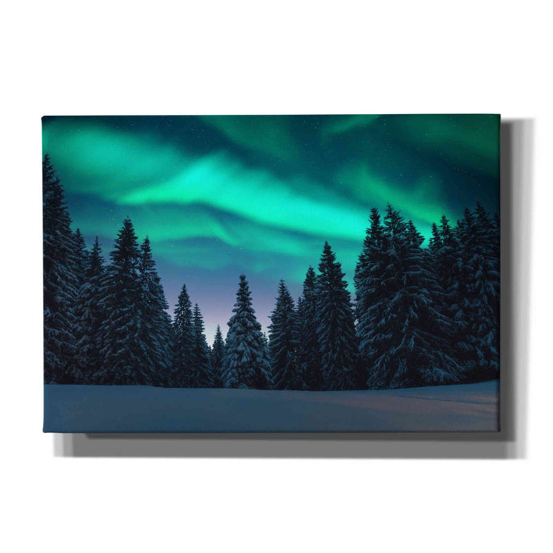 «Northern Lights In Winter Forest 3» par Epic Portfolio, estampe numérique sur toile, H 18 po x l 26 po x P 0,75 po