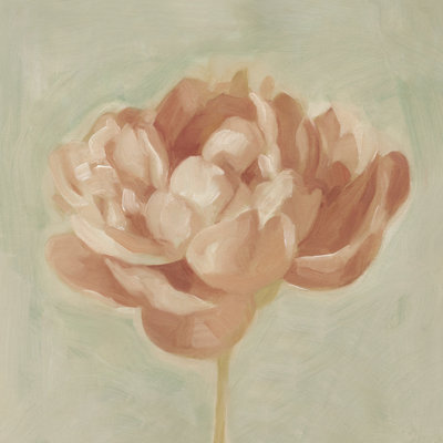 Pivoine de printemps I